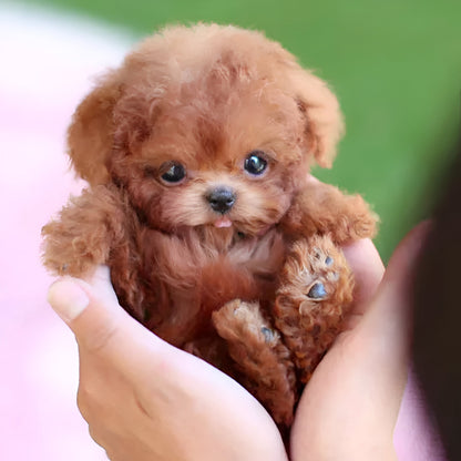 Robotic Puppy, Lifelike Puppy Toy for Kids