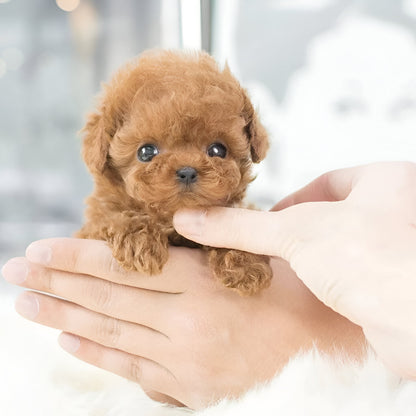 Robotic Puppy, Lifelike Puppy Toy for Kids