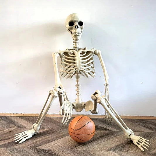 Anatomical Skeleton Decoration, Life-Size