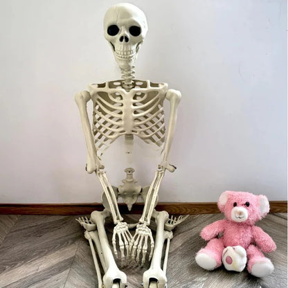 Anatomical Skeleton Decoration, Life-Size