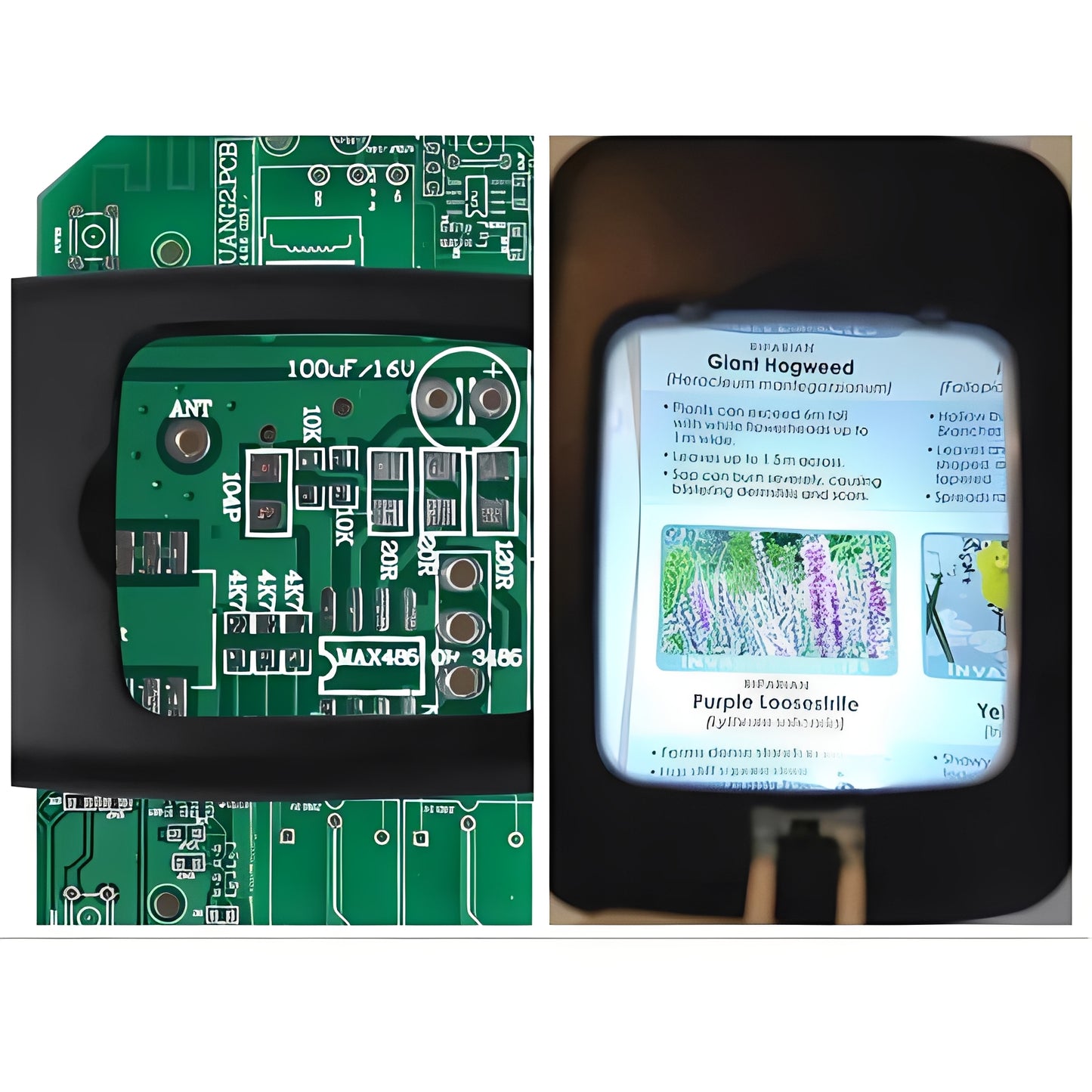 LED Magnifying Desk Lamp for Reading