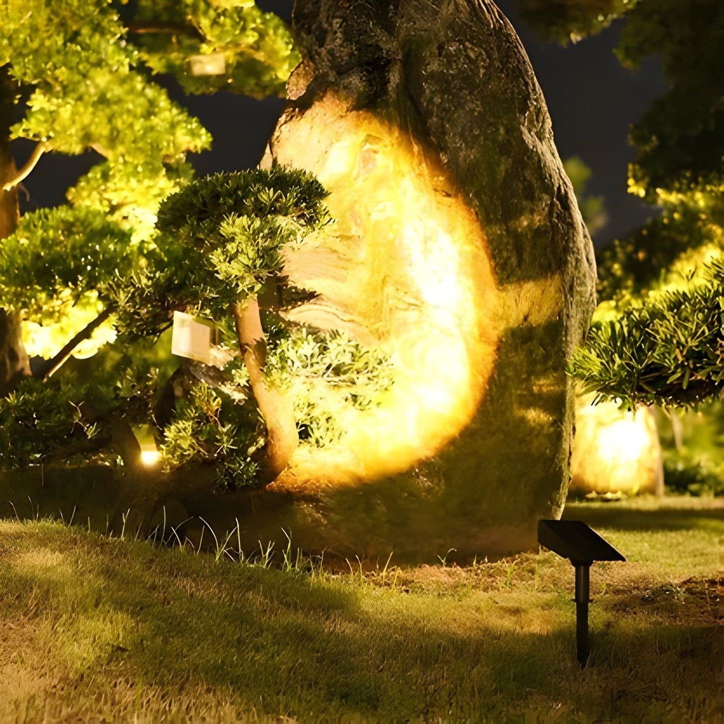 Solar Powered Spot Light with Adjustable Zoom Function