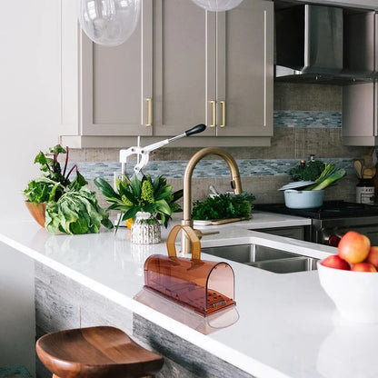 Reusable Mouse Trap with Pedal Mechanism