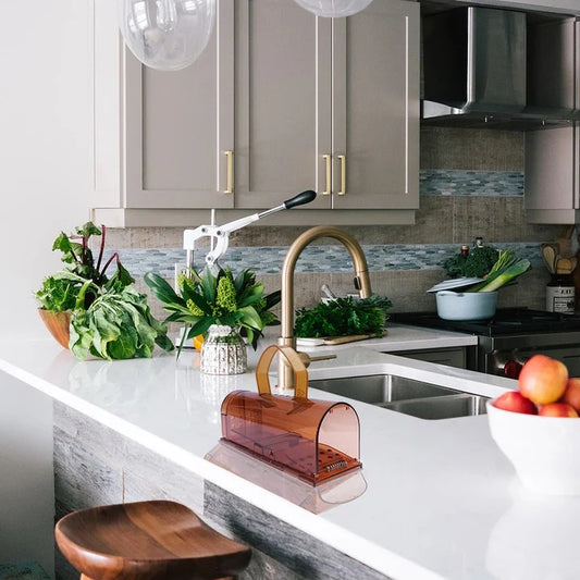 Reusable Mouse Trap with Pedal Mechanism