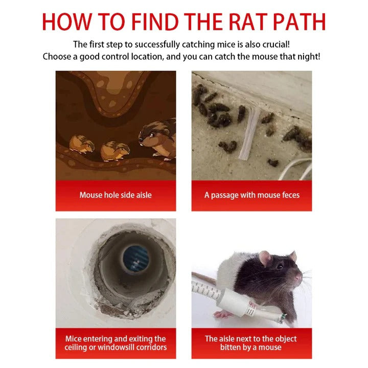 Mouse Trap Cage with Sliding Door