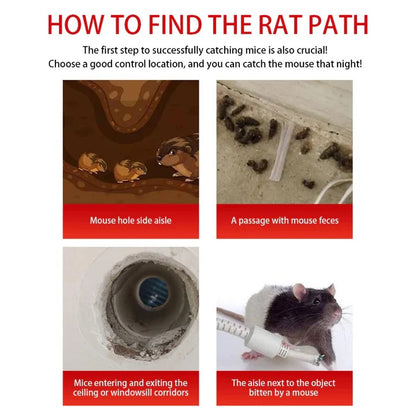 Mouse Trap Cage with Sliding Door