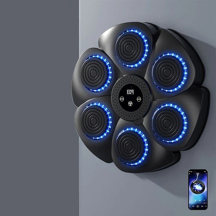 Boxing Machine Wall Target with Music and USB Rechargeable