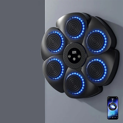 Boxing Machine Wall Target with Music and USB Rechargeable