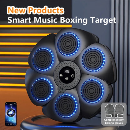 Boxing Machine Wall Target with Music and USB Rechargeable