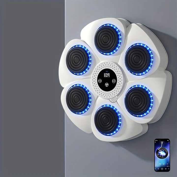 Boxing Machine Wall Target with Music and USB Rechargeable