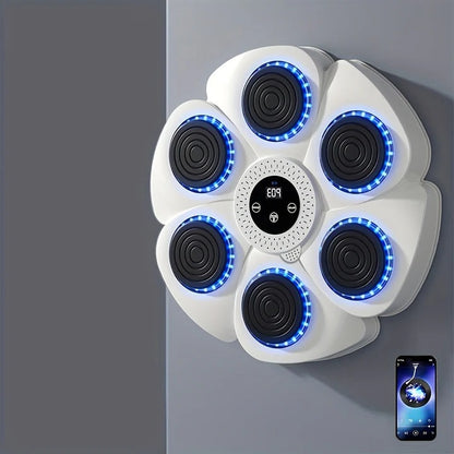 Boxing Machine Wall Target with Music and USB Rechargeable