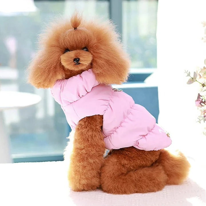 Warm Pet Jacket for Winter Use