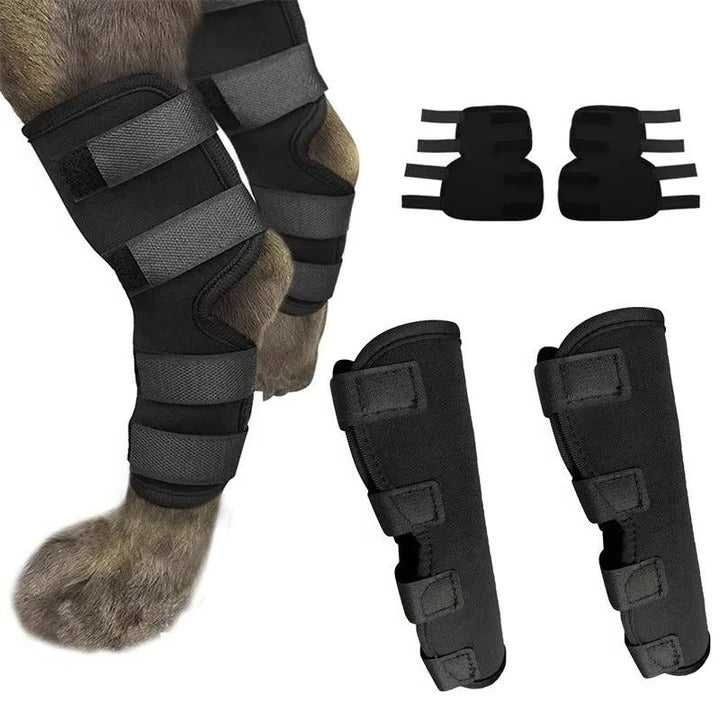 Dog Brace for Leg Support and Joint Stabilization