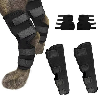 Dog Brace for Leg Support and Joint Stabilization