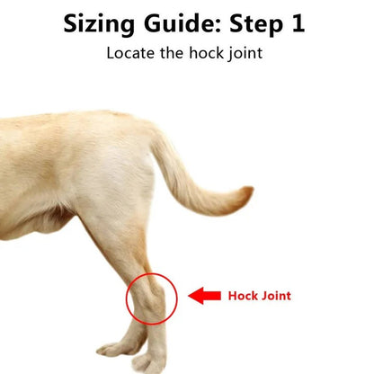 Dog Brace for Leg Support and Joint Stabilization