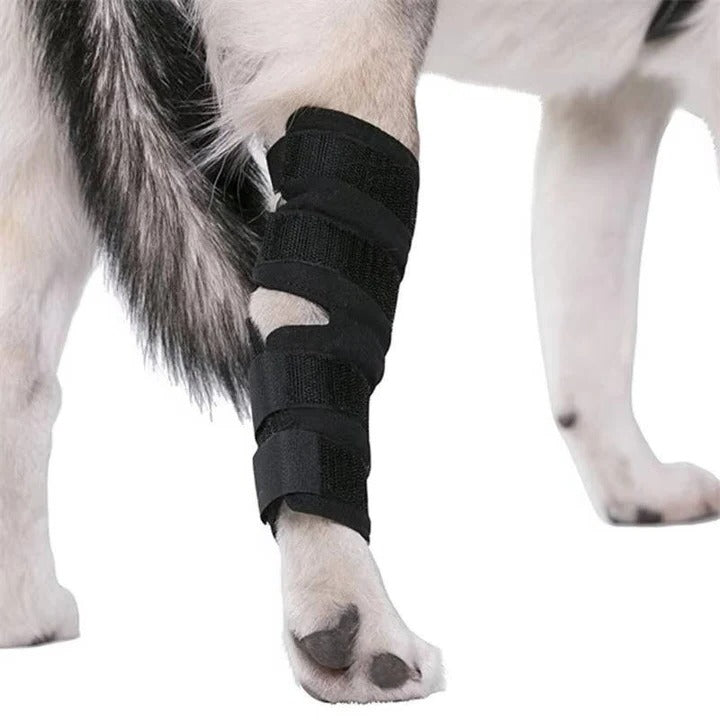 Dog Brace for Leg Support and Joint Stabilization