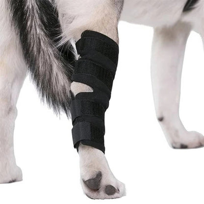 Dog Brace for Leg Support and Joint Stabilization