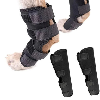 Dog Brace for Leg Support and Joint Stabilization