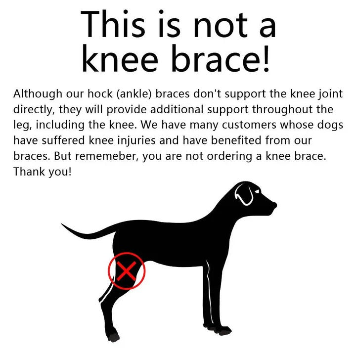Dog Brace for Leg Support and Joint Stabilization