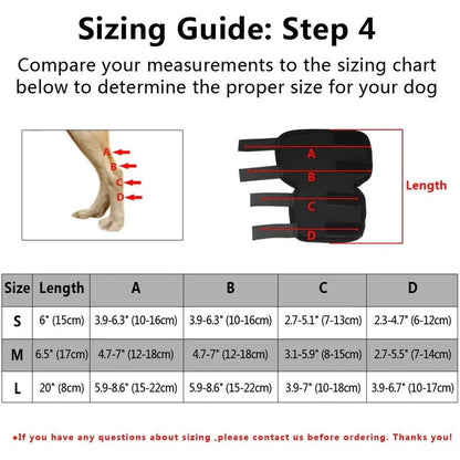 Dog Brace for Leg Support and Joint Stabilization