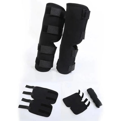 Dog Brace for Leg Support and Joint Stabilization