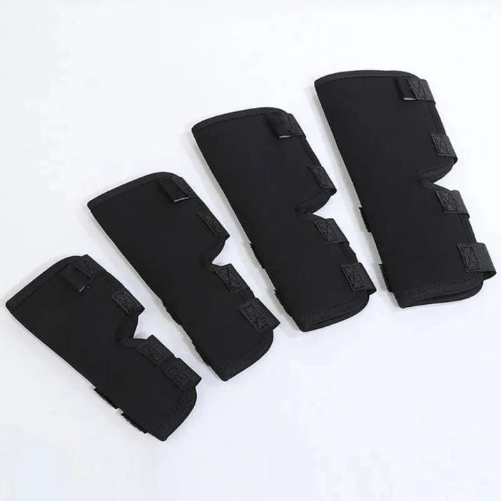 Dog Brace for Leg Support and Joint Stabilization