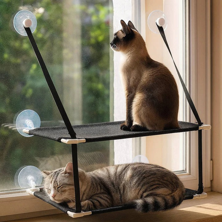 Window Mounted Cat Hammock and Perch