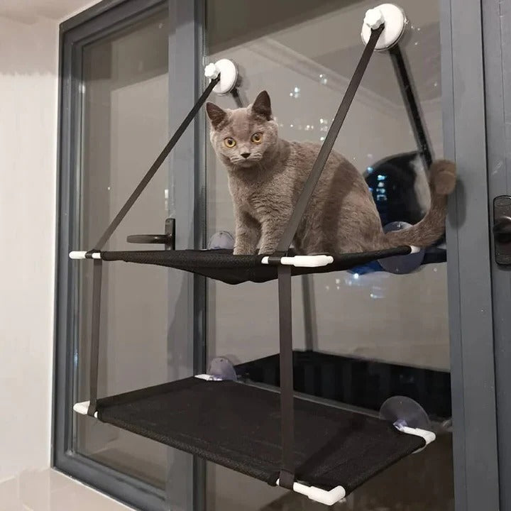 Window Mounted Cat Hammock and Perch