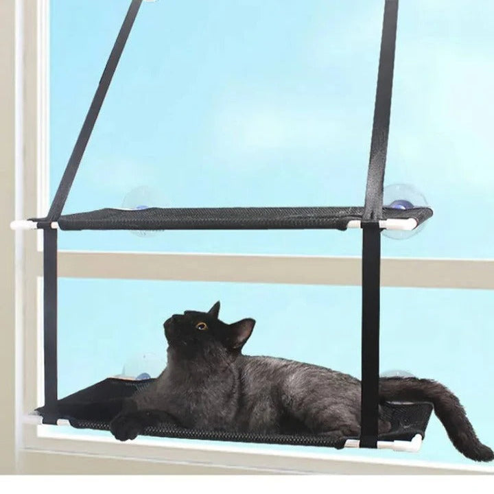 Window Mounted Cat Hammock and Perch