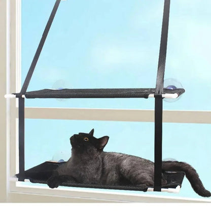 Window Mounted Cat Hammock and Perch