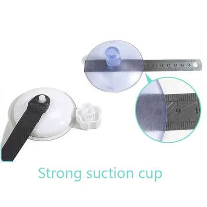 Window Mounted Cat Hammock and Perch