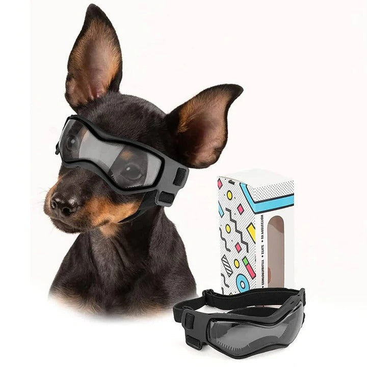 Dog Goggles for Pet Eye Protection