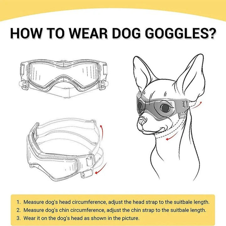 Dog Goggles for Pet Eye Protection