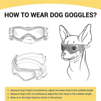 Dog Goggles for Pet Eye Protection