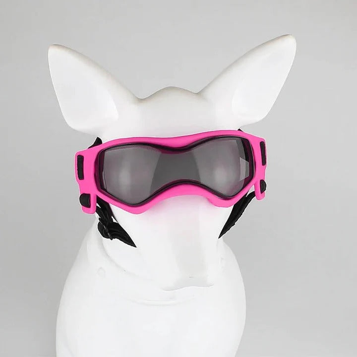 Dog Goggles for Pet Eye Protection