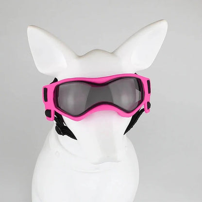 Dog Goggles for Pet Eye Protection