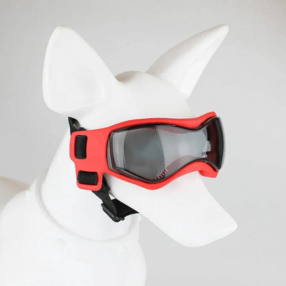 Dog Goggles for Pet Eye Protection