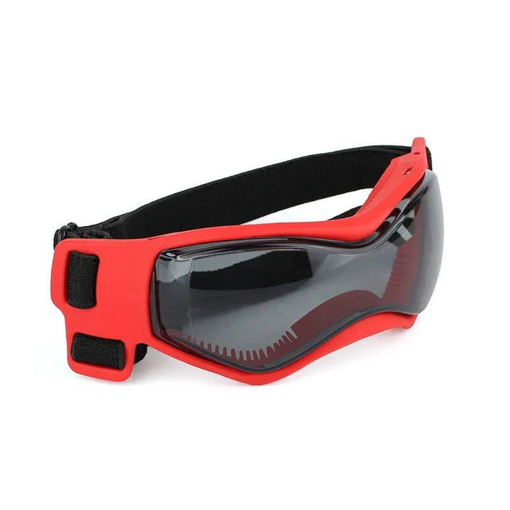 Dog Goggles for Pet Eye Protection