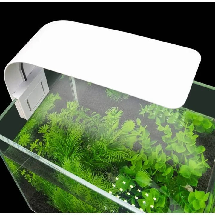 Slim LED Light for Aquatic Plants and Fish Tank Use