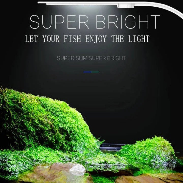 Slim LED Light for Aquatic Plants and Fish Tank Use