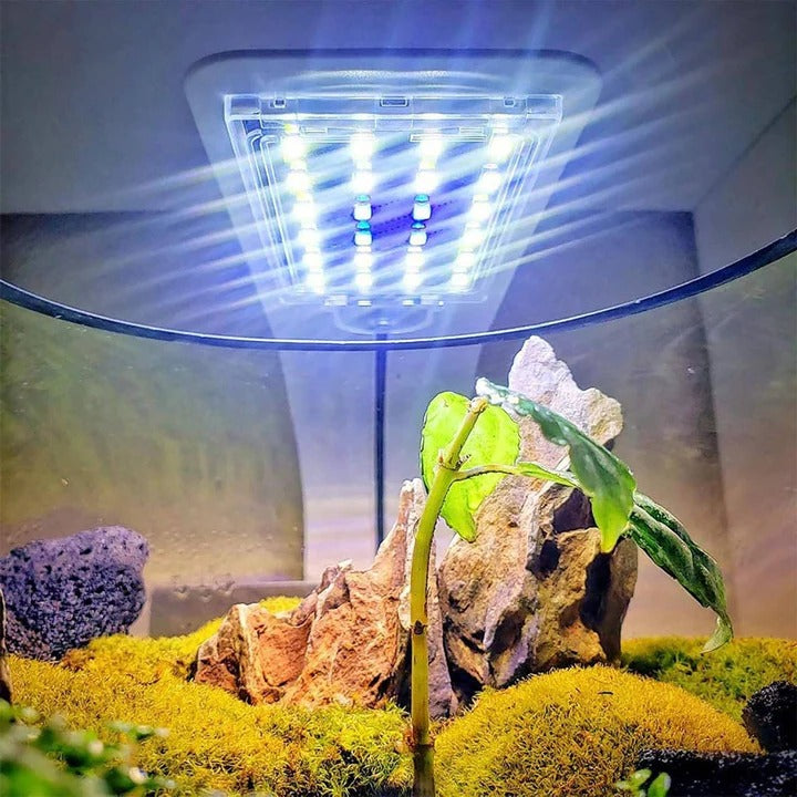 Slim LED Light for Aquatic Plants and Fish Tank Use