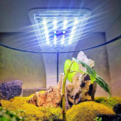 Slim LED Light for Aquatic Plants and Fish Tank Use