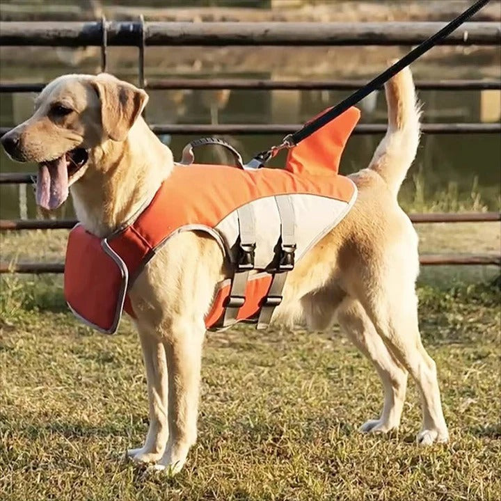 Life Jacket and Floatation Vest for Dogs