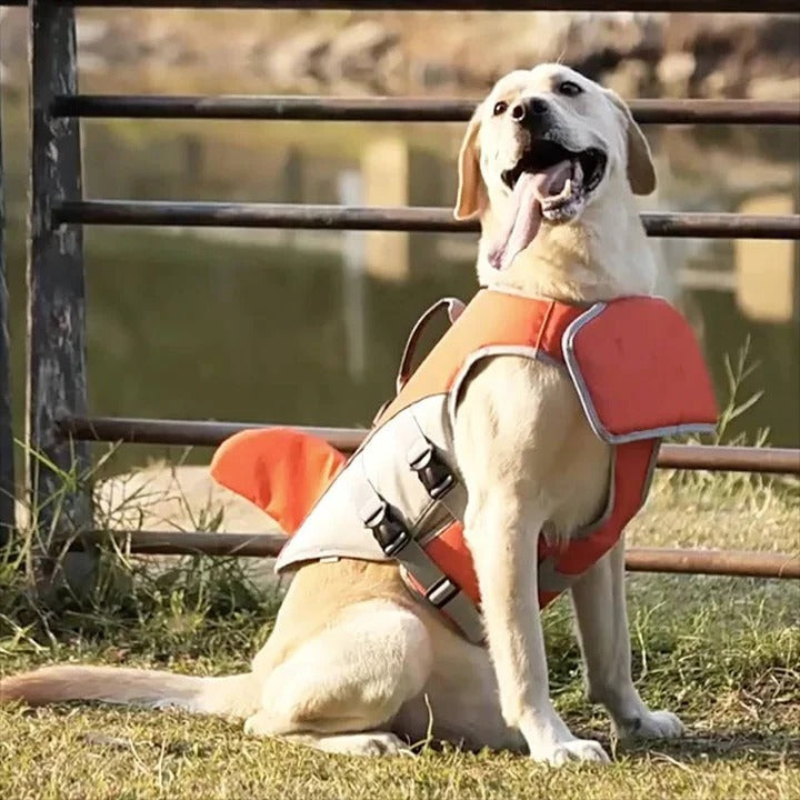 Life Jacket and Floatation Vest for Dogs