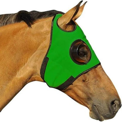 Horse Blinders for Focus and Concentration