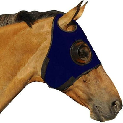 Horse Blinders for Focus and Concentration