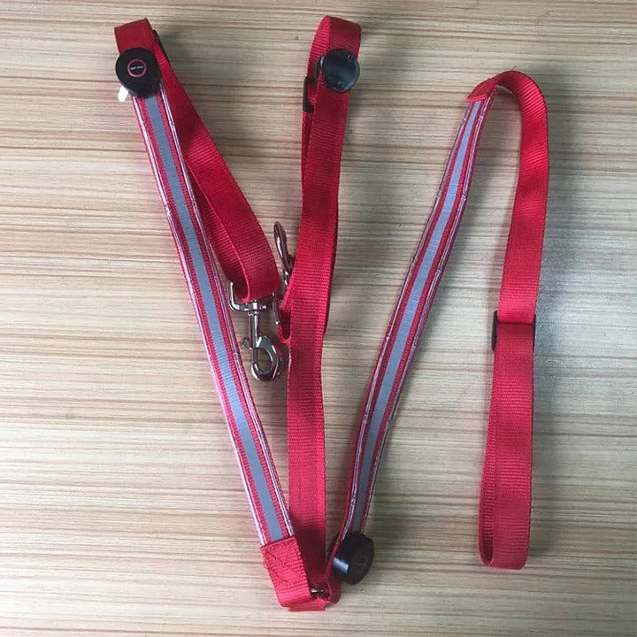 Horse Breast Collar with LED Lights for Night Riding