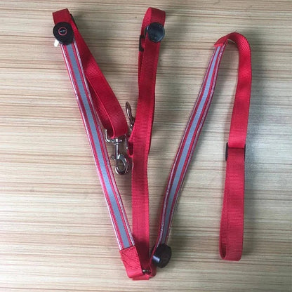 Horse Breast Collar with LED Lights for Night Riding