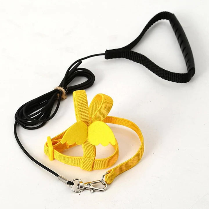 Bird Harness for Parrot Walking and Training