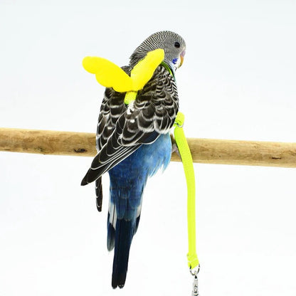 Bird Harness for Parrot Walking and Training
